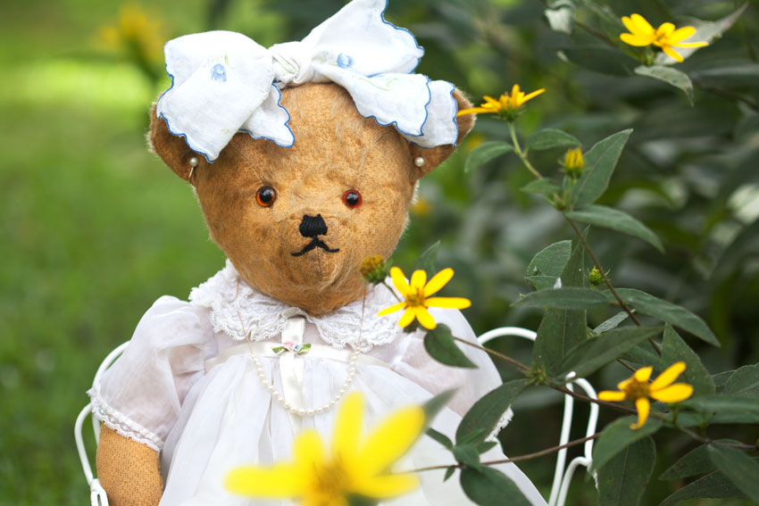 marigold teddy bear